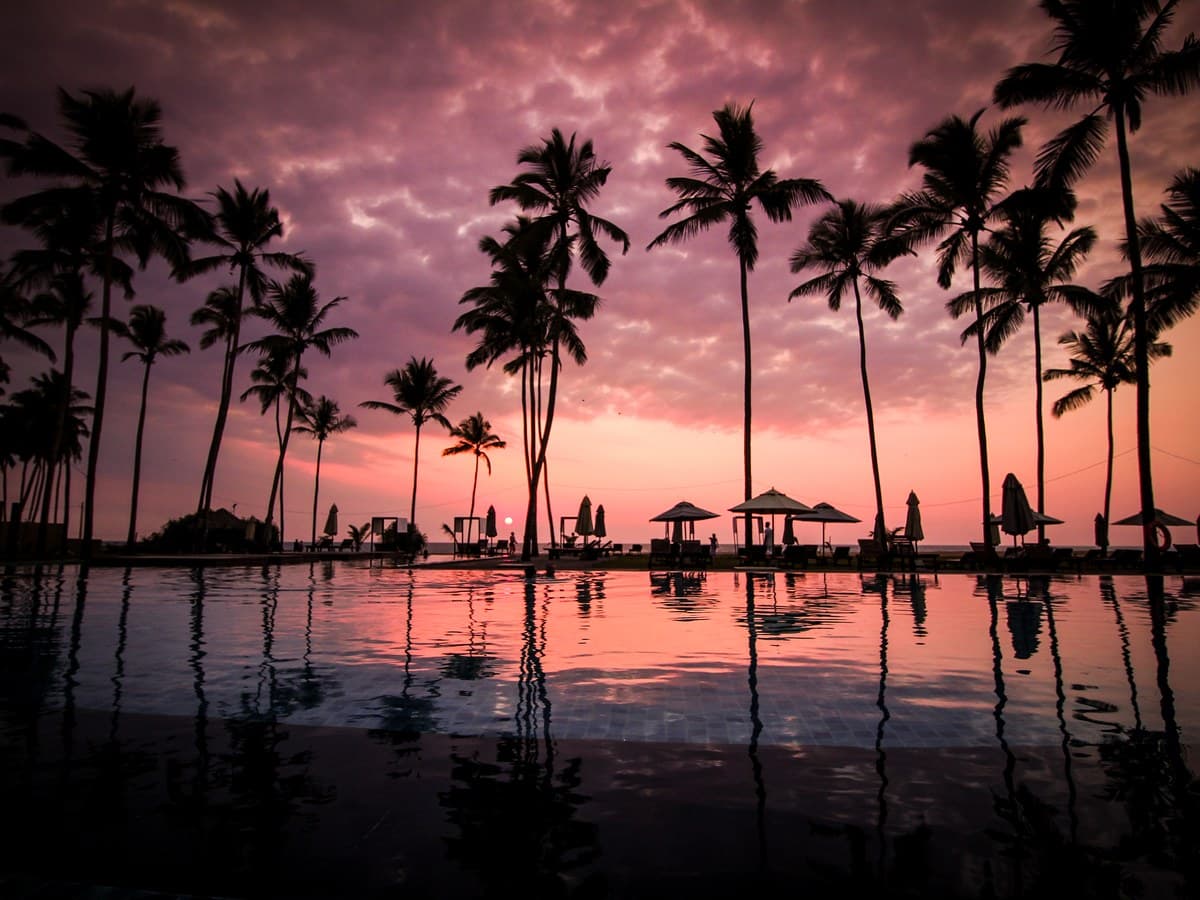 Tropical resort swimming pool and palm trees